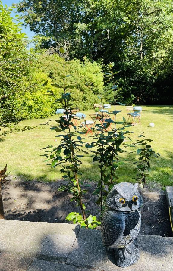 Aday - Mansion - Open Bright With Garden *